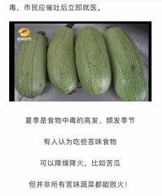 什么瓜吃不白,探寻健康饮食的奥秘