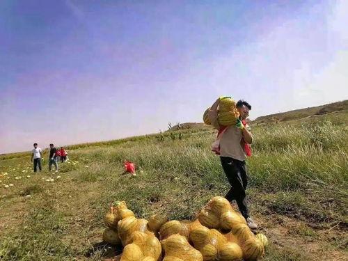 建宁市吃瓜群众,揭秘街头巷尾的热辣话题