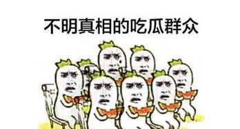 oxlxs吃瓜群众,揭秘娱乐圈背后的真实故事