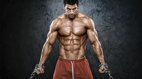 健美圈带你吃瓜,带你揭秘幕后吃瓜大事件