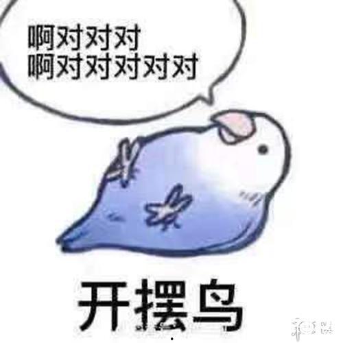 吃瓜到睡不着,揭秘娱乐圈那些让你熬夜的幕后故事