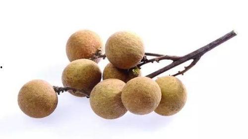 经常吃桂圆瓜,养生美食，常食益寿延年