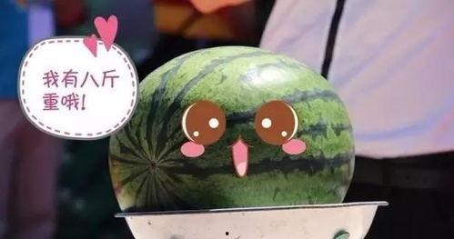 吃瓜门票,门票背后的狂欢秘密