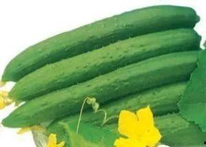 夏天吃的三瓜是哪三瓜