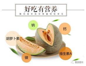 吃瓜视频长清,揭秘热门视频背后的故事