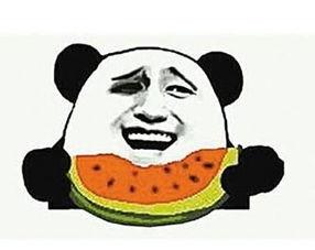 吃瓜群众老婆,揭秘娱乐圈背后的真实故事