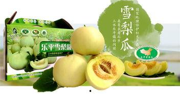 广东吃瓜公众号,揭秘粤菜背后的那些“秘密”与“传说”