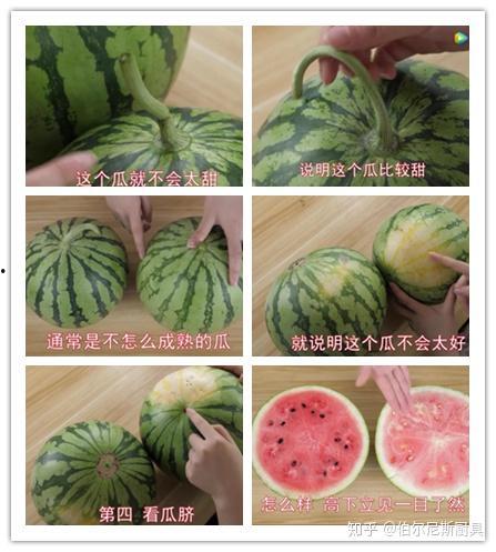 吹风吃瓜看风景,悠然看尽世间风景