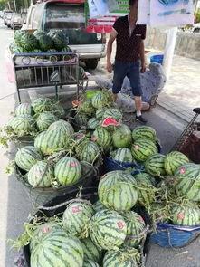 平乡吃瓜事件,一场引发社会热议的街头冲突