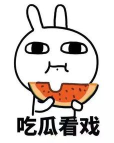 满级动画带你吃瓜,满级动画带你领略瓜界风云