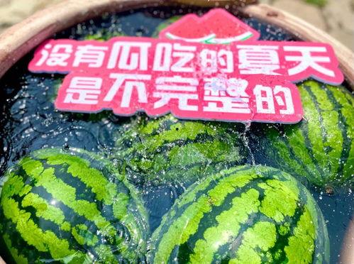 郑州大型吃瓜,全民围观，趣味横生