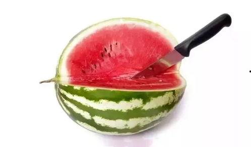 吃瓜高端瓜,高端瓜品大赏