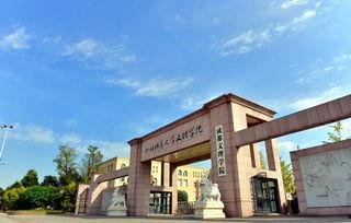 吃瓜成都文理,探寻文理交融的美食文化之旅