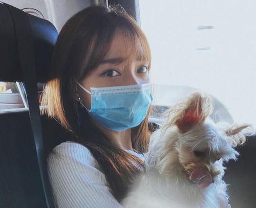 2022吃瓜明星,明星八卦风云录