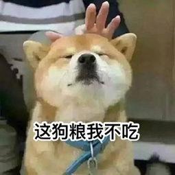 单身狗吃瓜头像,揭秘娱乐圈那些不为人知的秘密